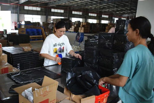 借力電商轉(zhuǎn)型，美滋食品突圍發(fā)展技術(shù)咨詢策略